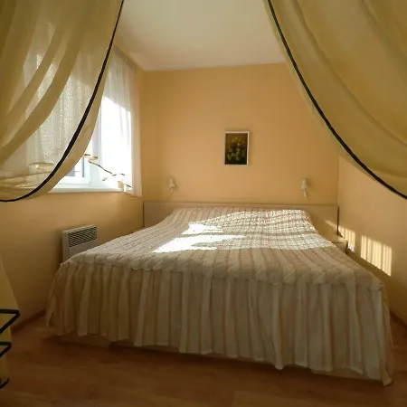 Netti Center Guest house *